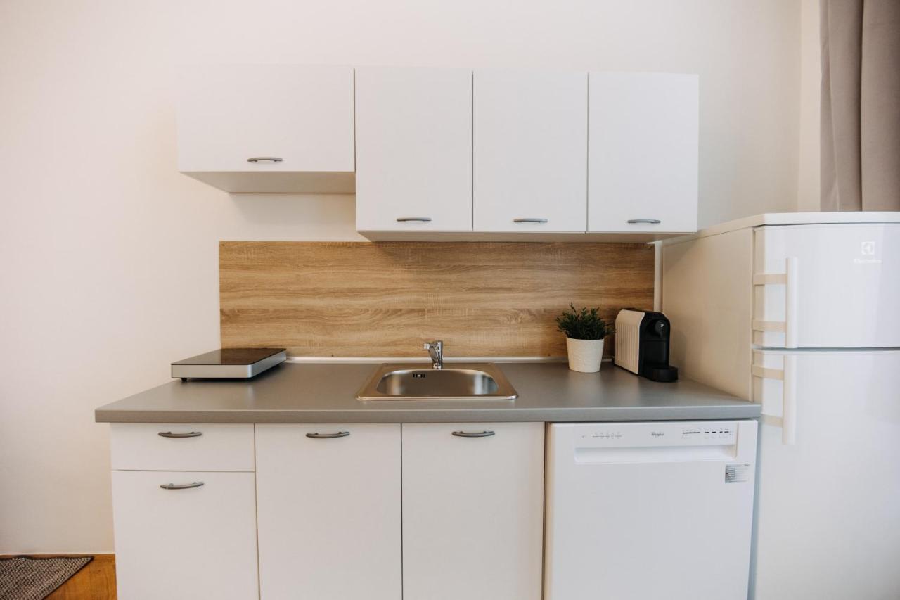 Designed 2bd- 65 M2 Next To Main Station Prague